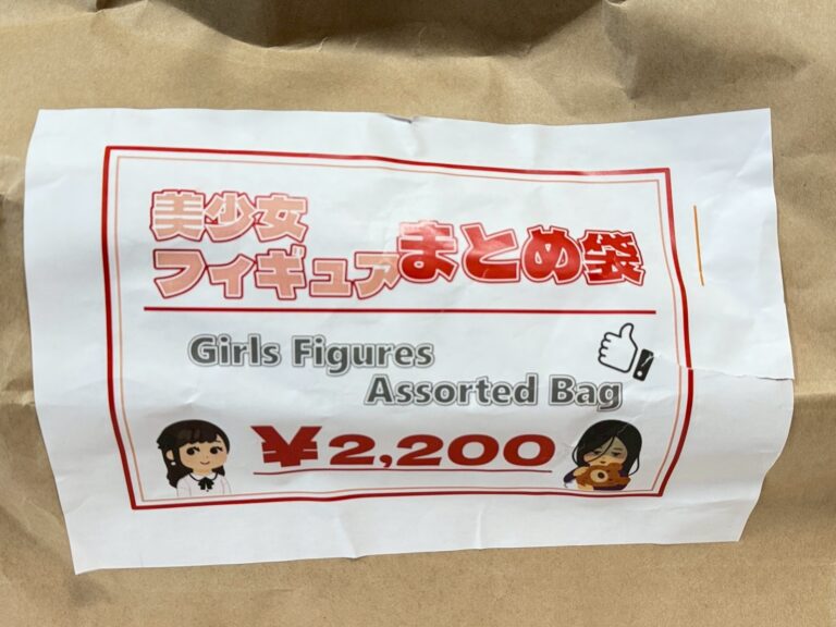 秋葉原「おたちゅう。」超值模型開箱： 2,200 日圓美少女福袋內容物公開